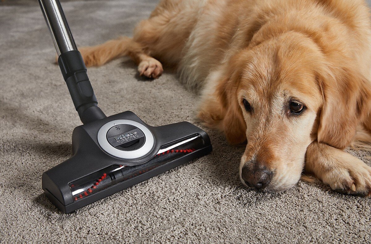Dulkių siurblys Miele Blizzard CX1 Cat & Dog Flex – Image 12